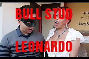 Bull Pencil Leonardo